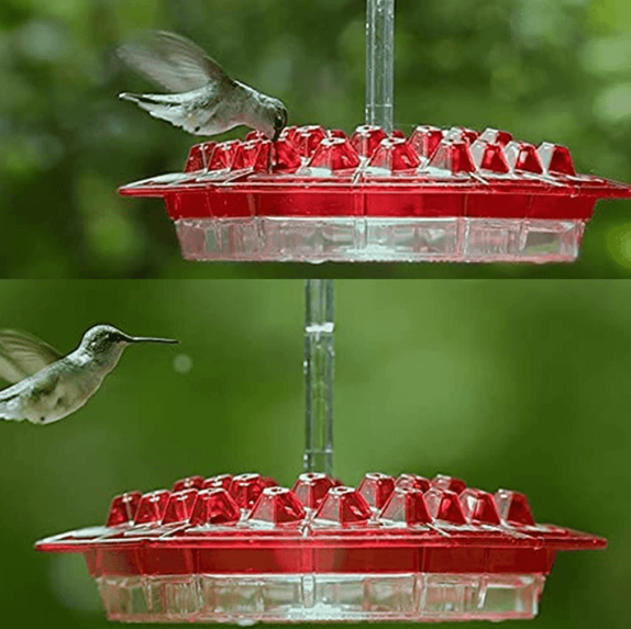 Ant-Proof Hanging Hummingbird Feeder
