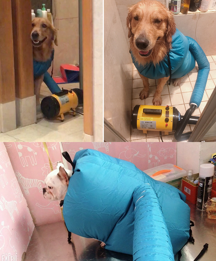 Pet Drying Box with Carry Bag