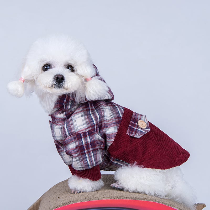 Cashmere Coat for Small Dogs