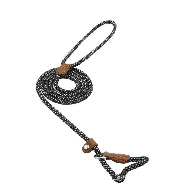 Nylon Puppy Collar & Leash Set