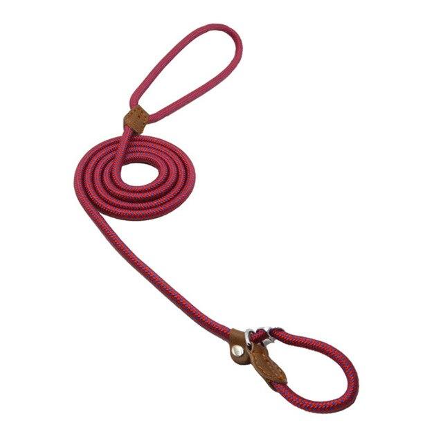 Nylon Puppy Collar & Leash Set
