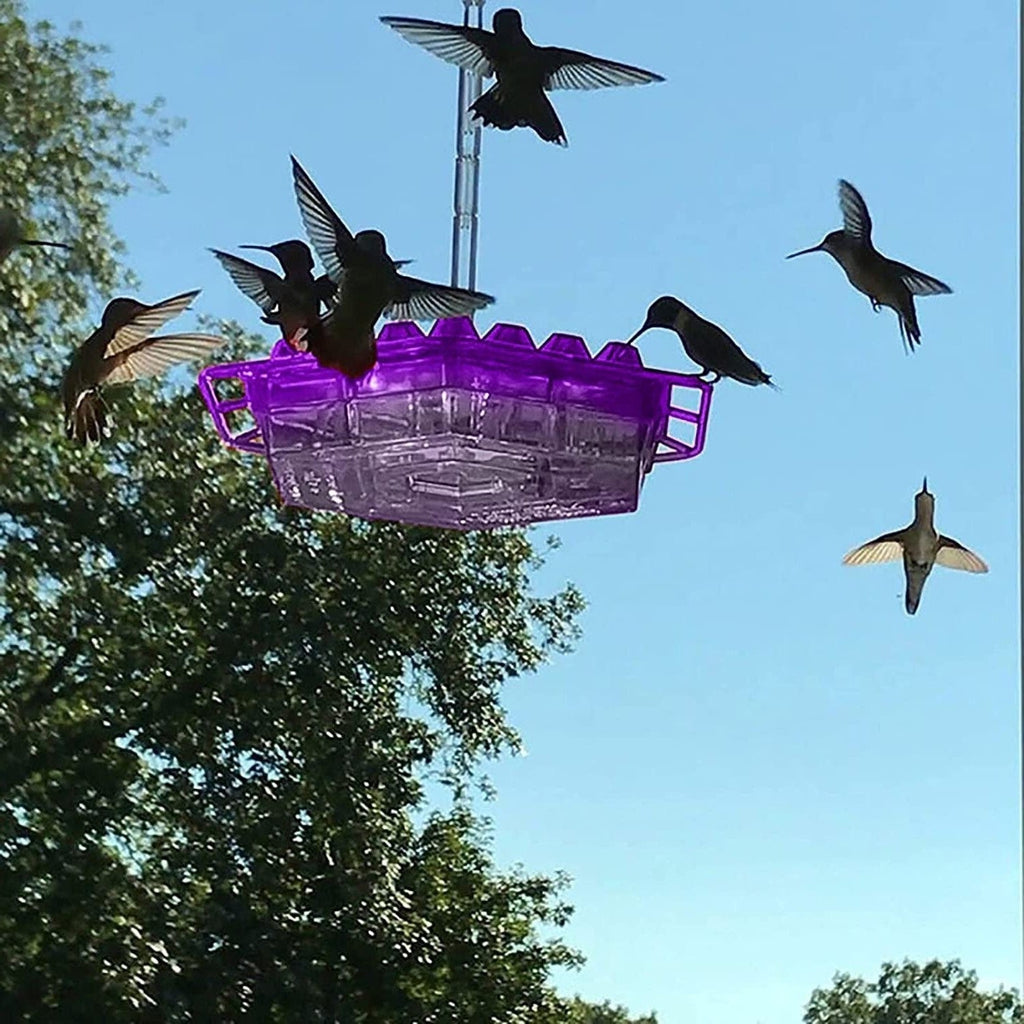 Ant-Proof Hanging Hummingbird Feeder