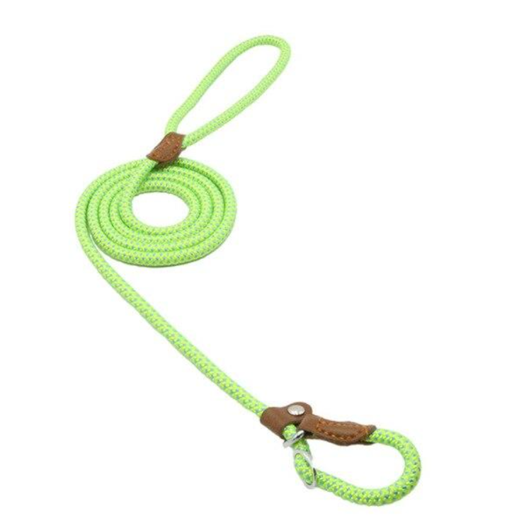 Nylon Puppy Collar & Leash Set