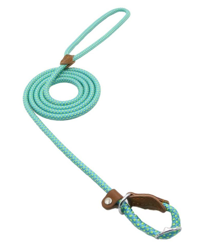 Nylon Puppy Collar & Leash Set