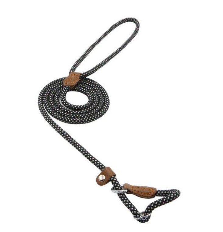 Nylon Puppy Collar & Leash Set