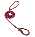 Nylon Puppy Collar & Leash Set