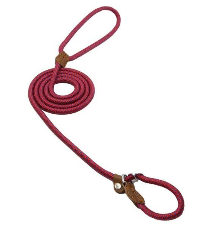 Nylon Puppy Collar & Leash Set