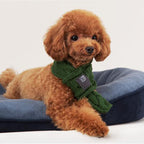 Warm Wool Pet Scarf