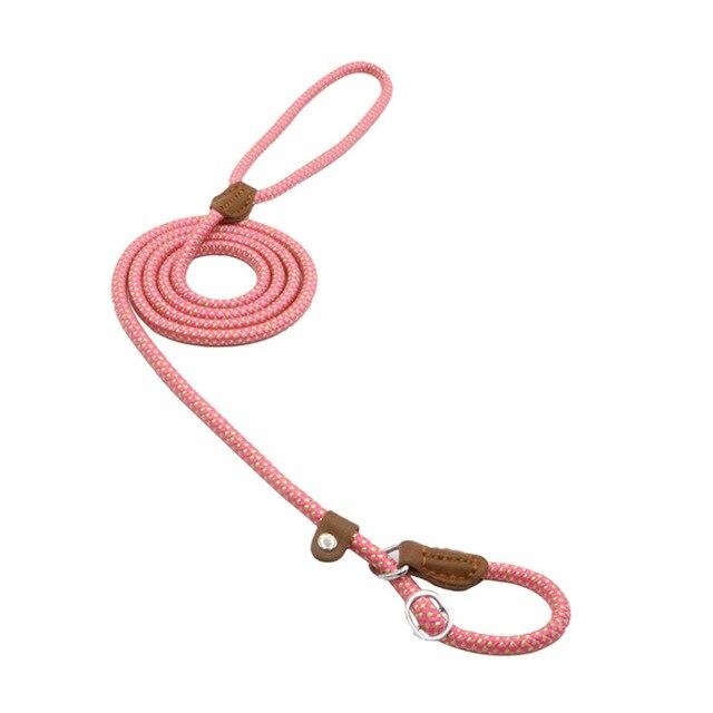 Nylon Puppy Collar & Leash Set