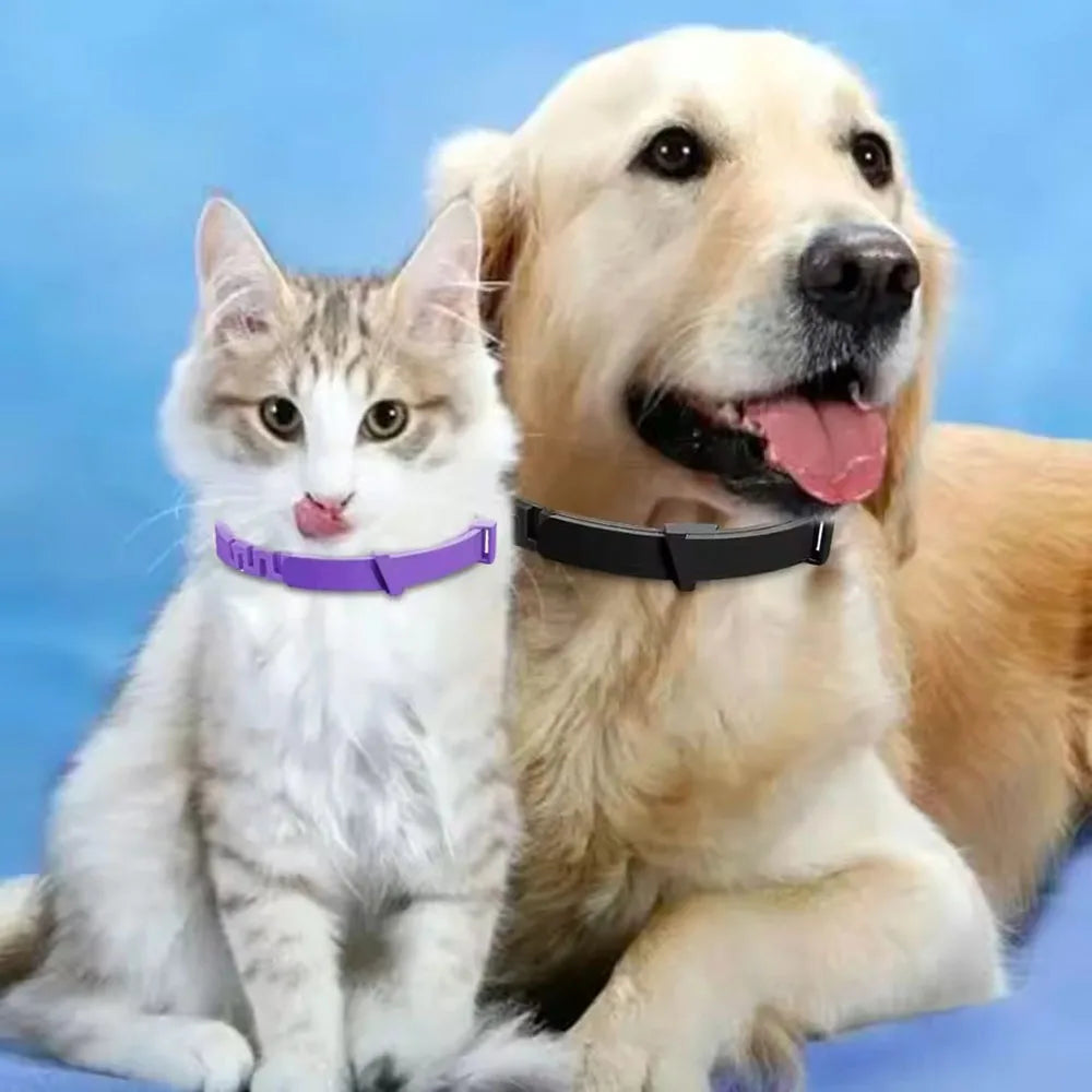 Adjustable Waterproof Dog Collar