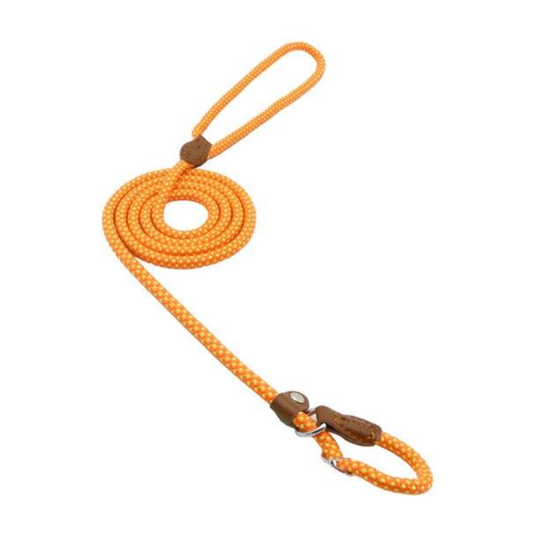 Nylon Puppy Collar & Leash Set