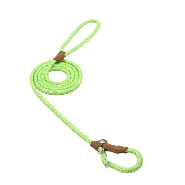 Nylon Puppy Collar & Leash Set