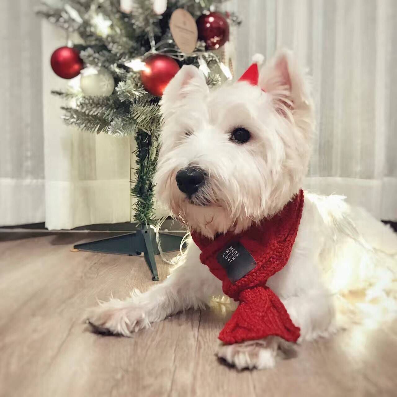 Warm Wool Pet Scarf