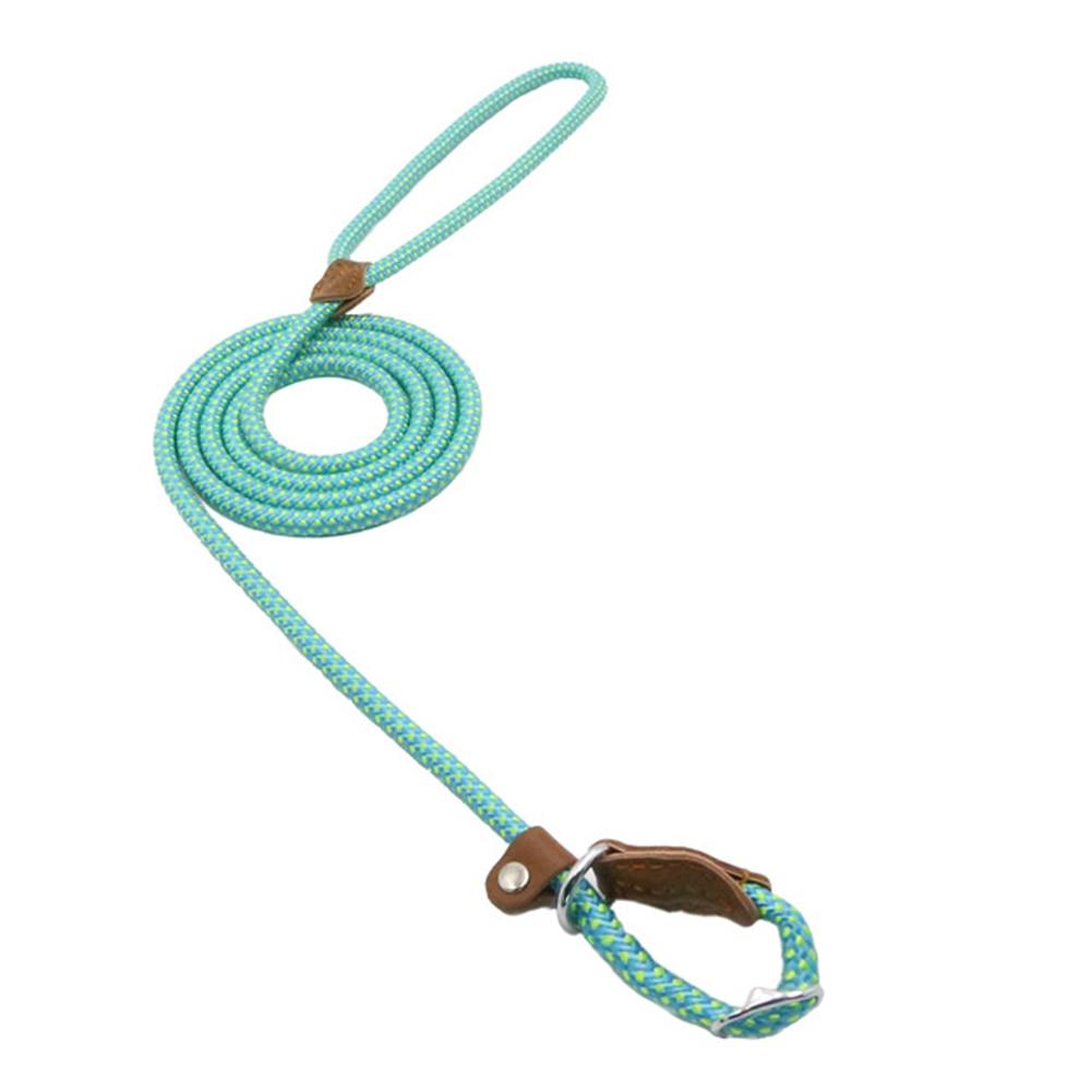 Nylon Puppy Collar & Leash Set