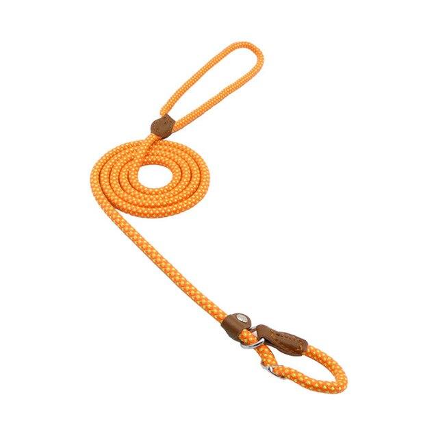 Nylon Puppy Collar & Leash Set