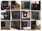 Scratch-Resistant Pet Door