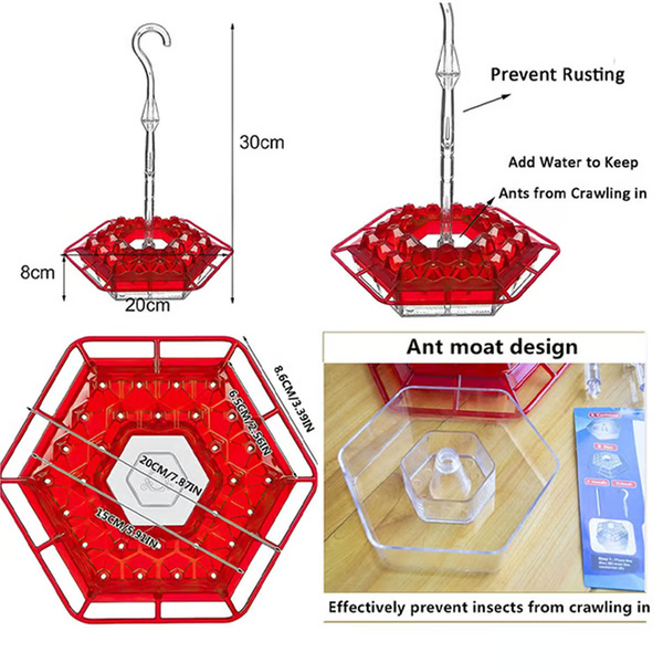 Hummingbird Feeder with Ant Moat