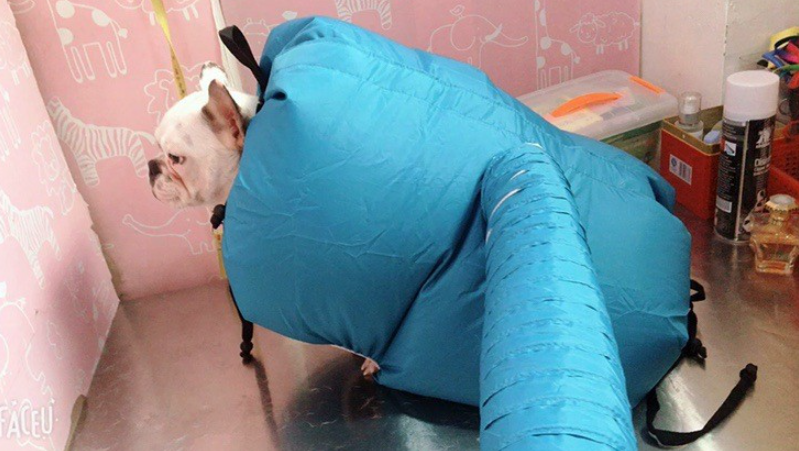 Pet Drying Box with Carry Bag