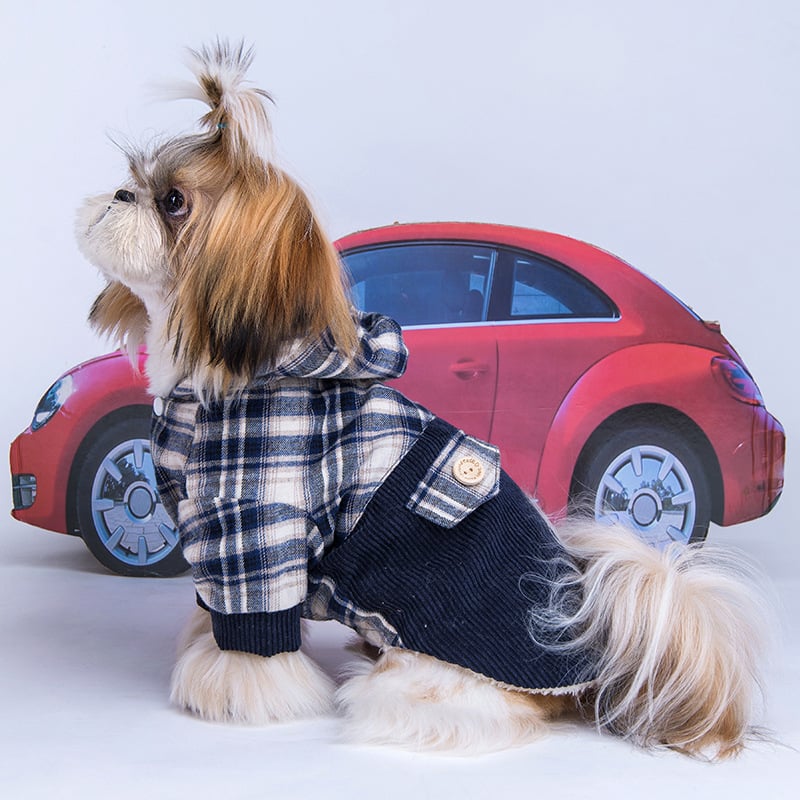 Cashmere Coat for Small Dogs