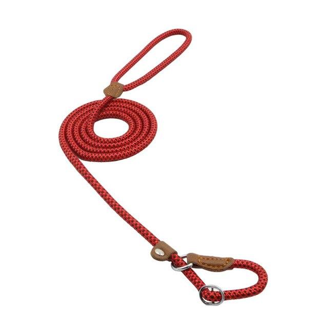 Nylon Puppy Collar & Leash Set