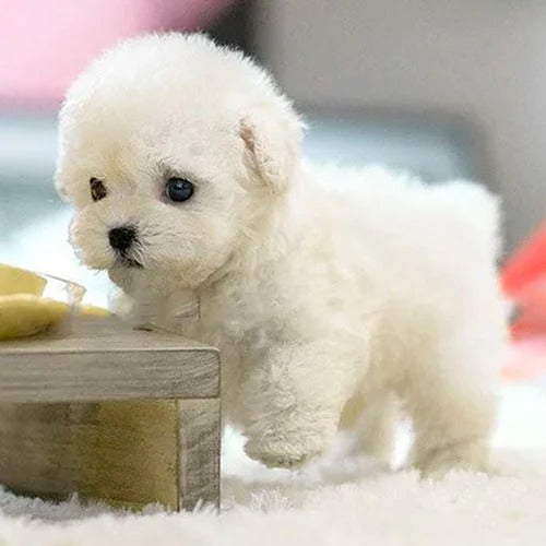 Realistic Interactive Plush Puppy