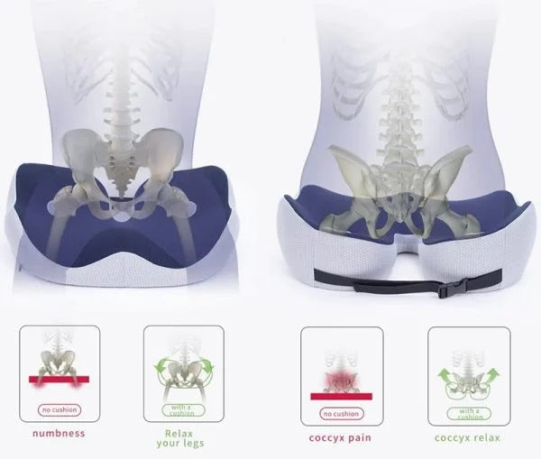 Memory Foam Sit Bone Relief Cushion