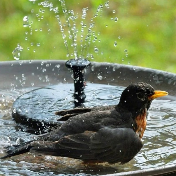Solar Garden Water Fountain