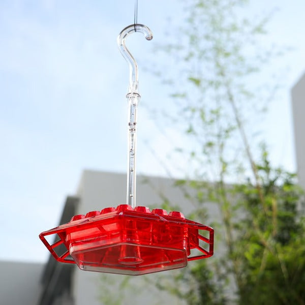 Hummingbird Feeder with Ant Moat