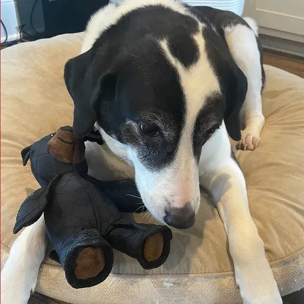 Indestructible Bear Dog Toy