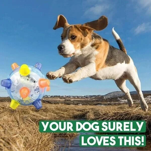 Jumping Activation Ball for Dogs