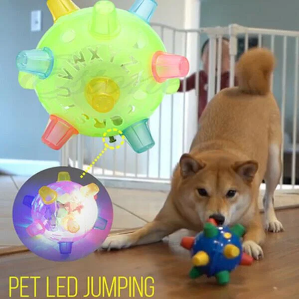 Jumping Activation Ball for Dogs