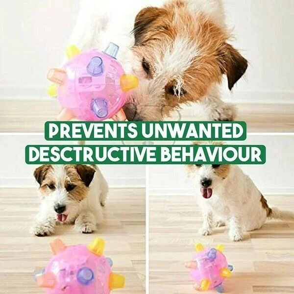 Jumping Activation Ball for Dogs