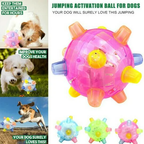 Jumping Activation Ball for Dogs