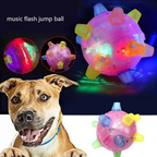 Jumping Activation Ball for Dogs