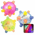 Jumping Activation Ball for Dogs
