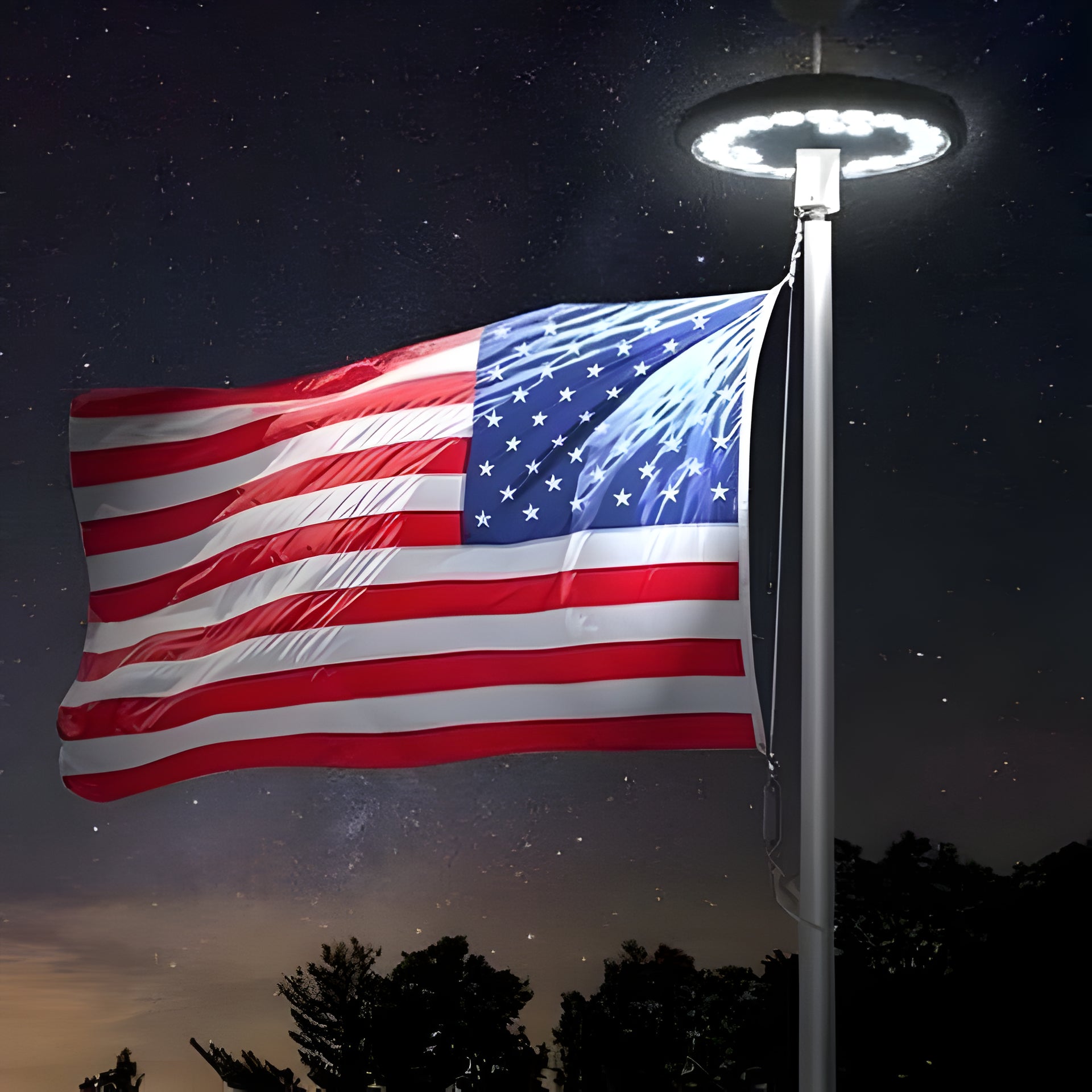 Solar Powered Flagpole Light