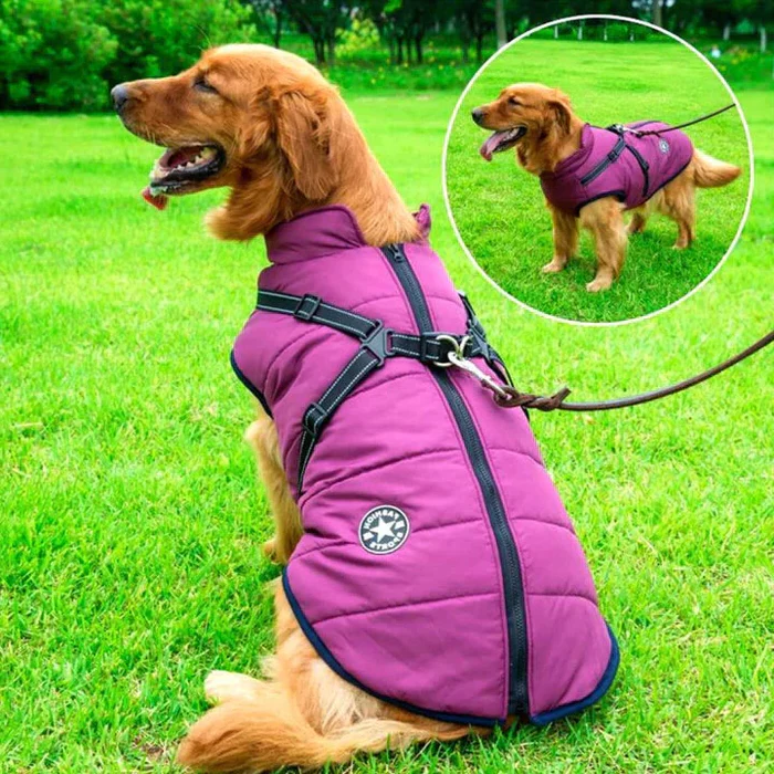 Waterproof Winter Dog Jacket