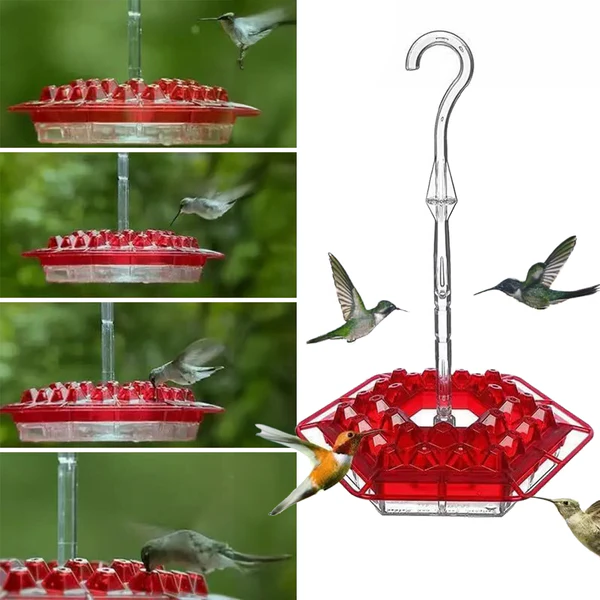 Ant-Proof Hummingbird Feeder