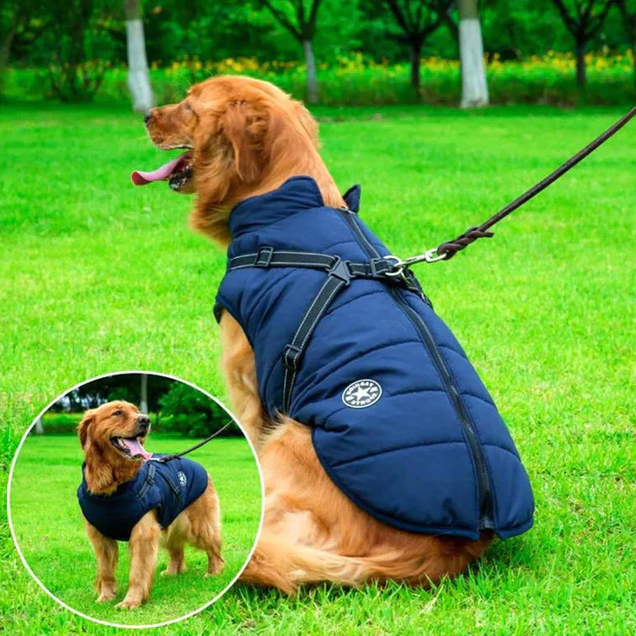 Waterproof Winter Dog Jacket