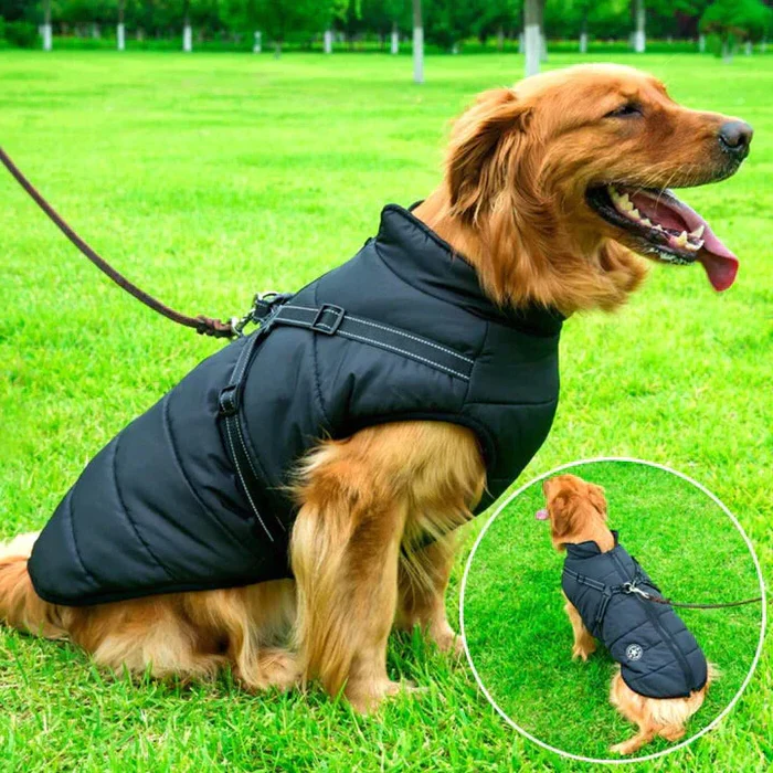 Waterproof Winter Dog Jacket