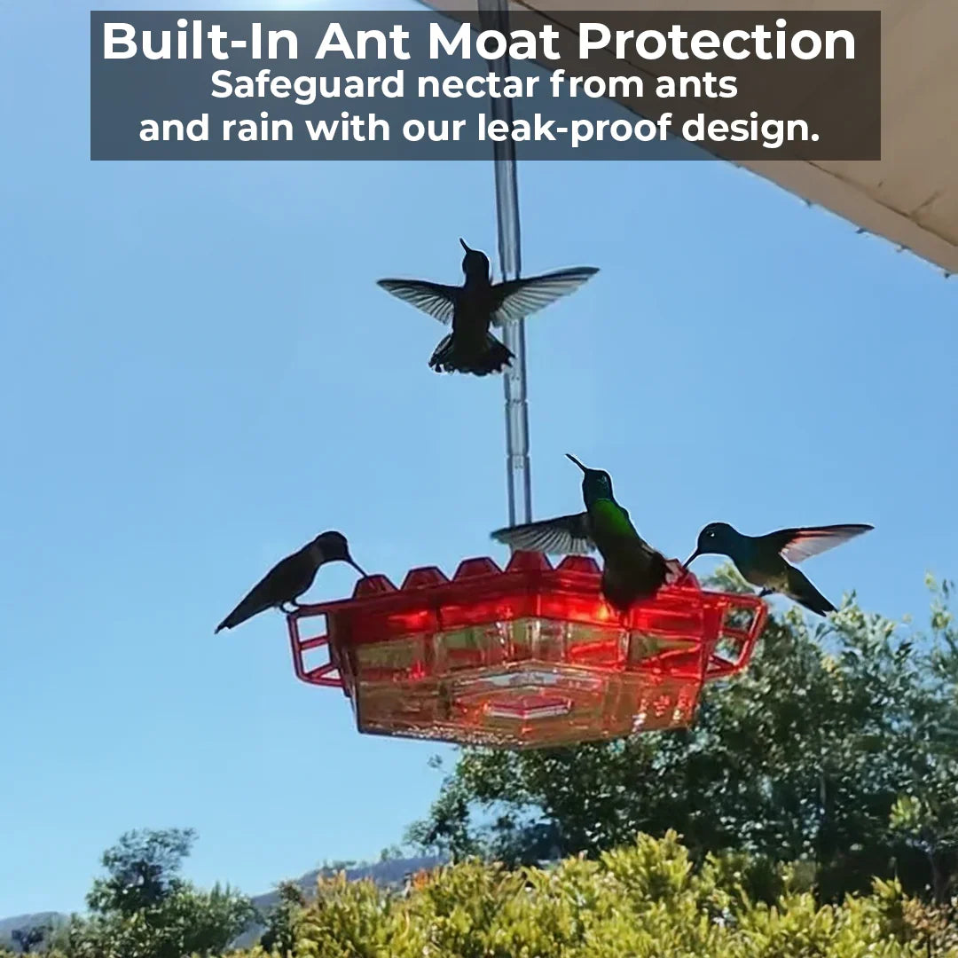 Ant-Proof Hummingbird Feeder