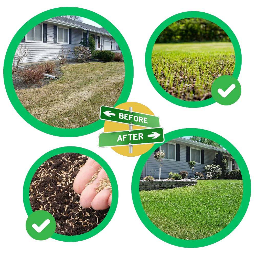 Quick Fix Grass Seed Mat