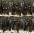 Scary Wolf Costume Mask